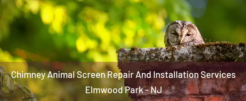  Chimney Animal Screen Repair And Installation Services Elmwood Park - NJ