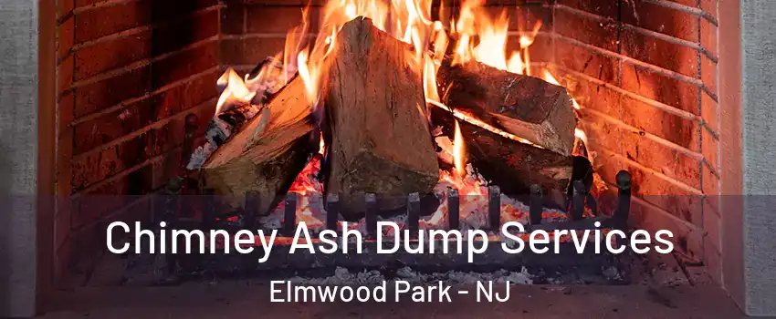  Chimney Ash Dump Services Elmwood Park - NJ