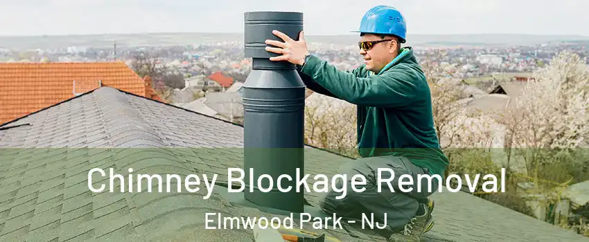  Chimney Blockage Removal Elmwood Park - NJ