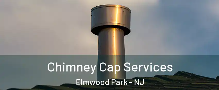  Chimney Cap Services Elmwood Park - NJ