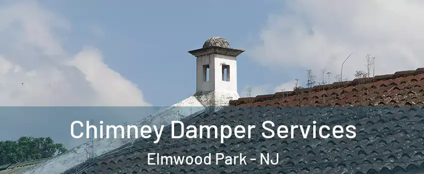  Chimney Damper Services Elmwood Park - NJ