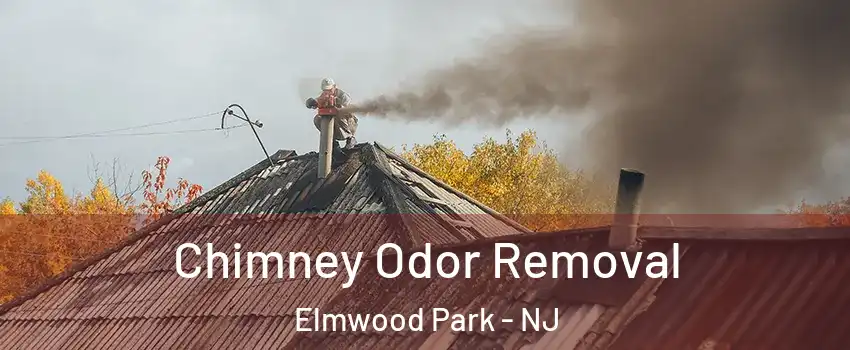  Chimney Odor Removal Elmwood Park - NJ