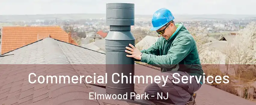  Commercial Chimney Services Elmwood Park - NJ