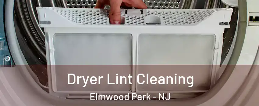  Dryer Lint Cleaning Elmwood Park - NJ