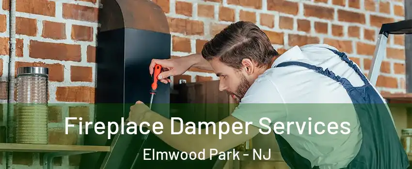  Fireplace Damper Services Elmwood Park - NJ