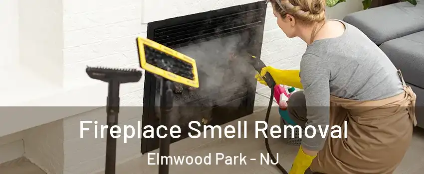  Fireplace Smell Removal Elmwood Park - NJ