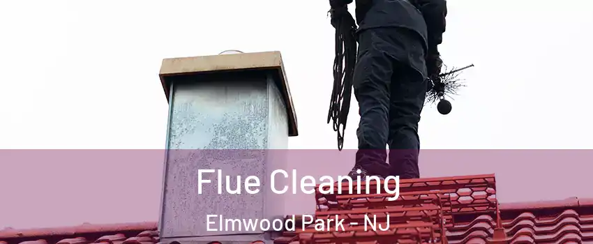  Flue Cleaning Elmwood Park - NJ