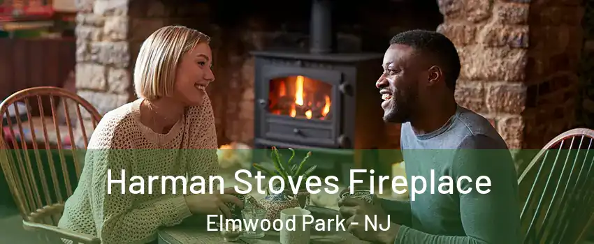 Harman Stoves Fireplace Elmwood Park - NJ