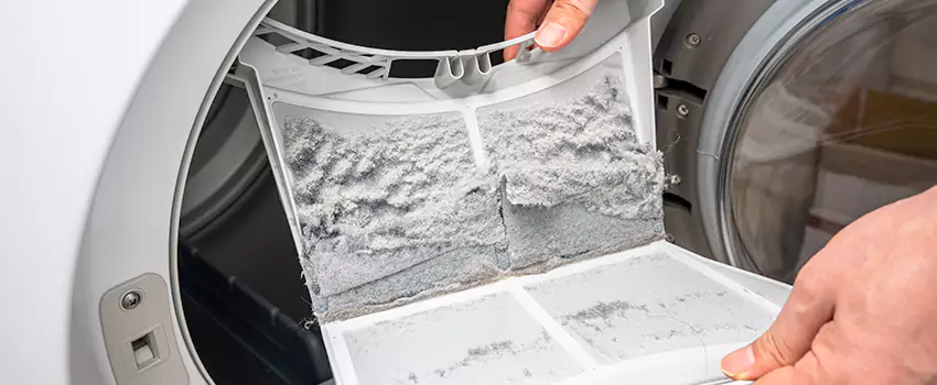 Best Dryer Lint Removal Company in Elmwood Park, New Jersey