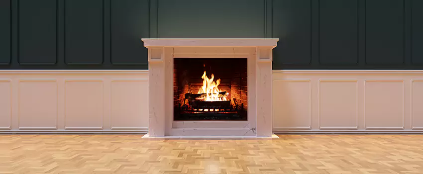 Napoleon Electric Fireplaces Inspection Service in Elmwood Park, New Jersey