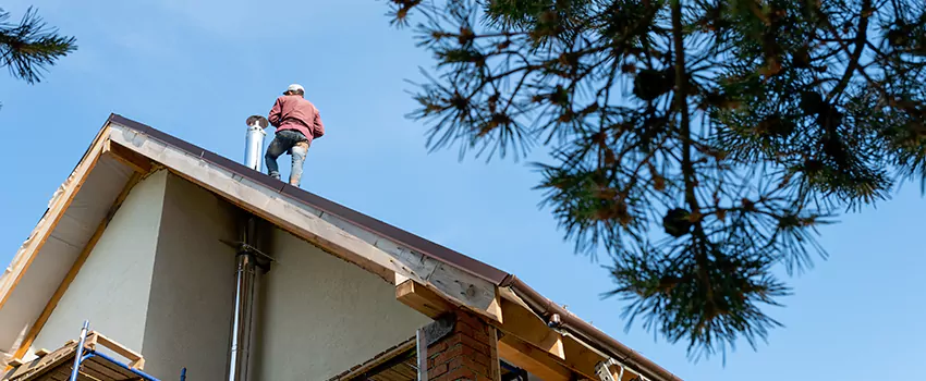 Birds Removal Contractors from Chimney in Elmwood Park, NJ