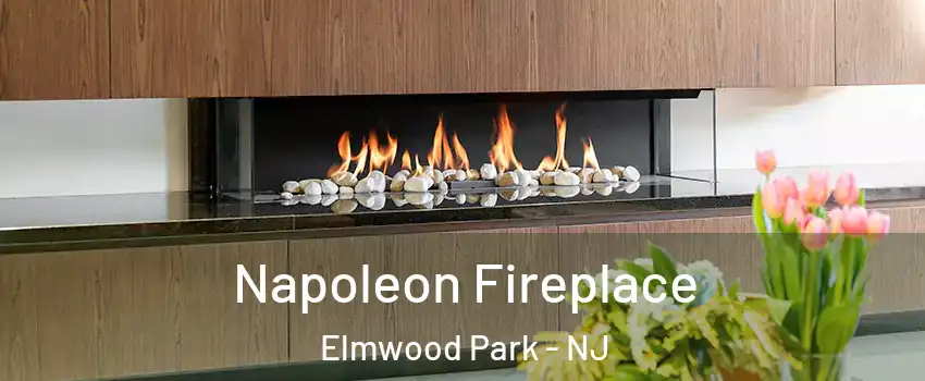  Napoleon Fireplace Elmwood Park - NJ