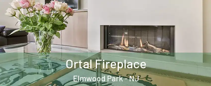 Ortal Fireplace Elmwood Park - NJ